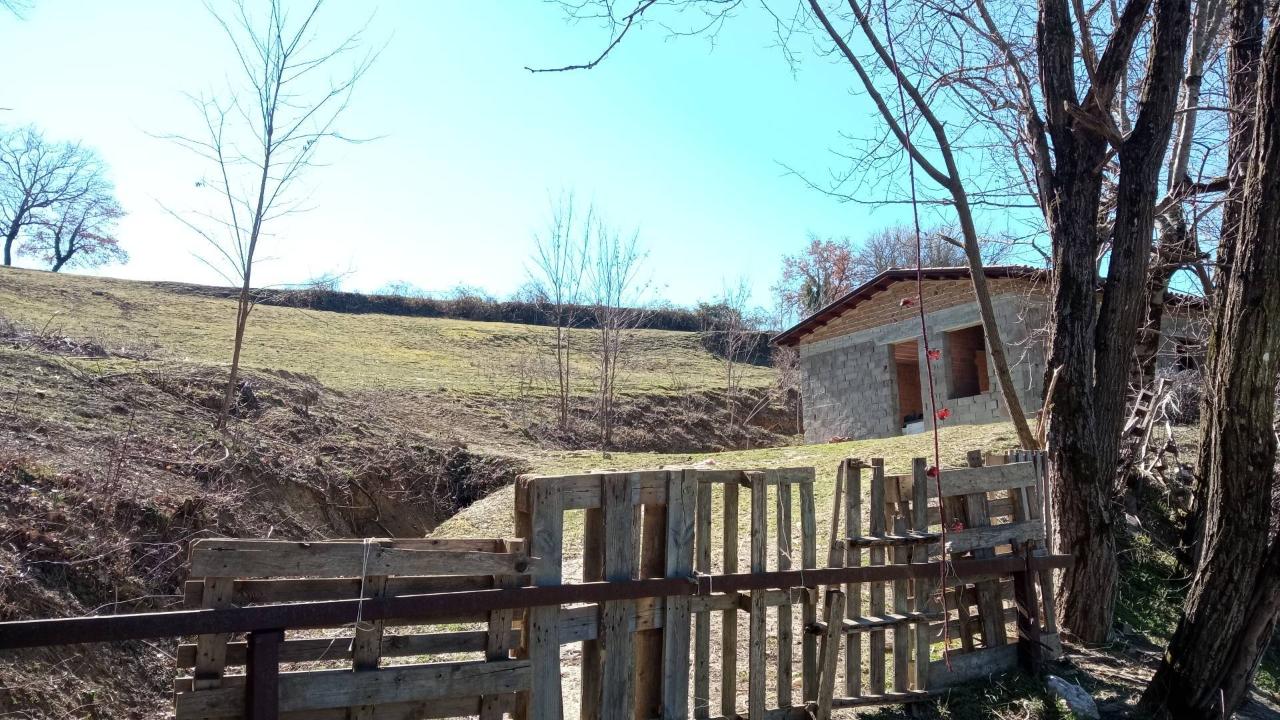 immagine annuncio 9 di 11