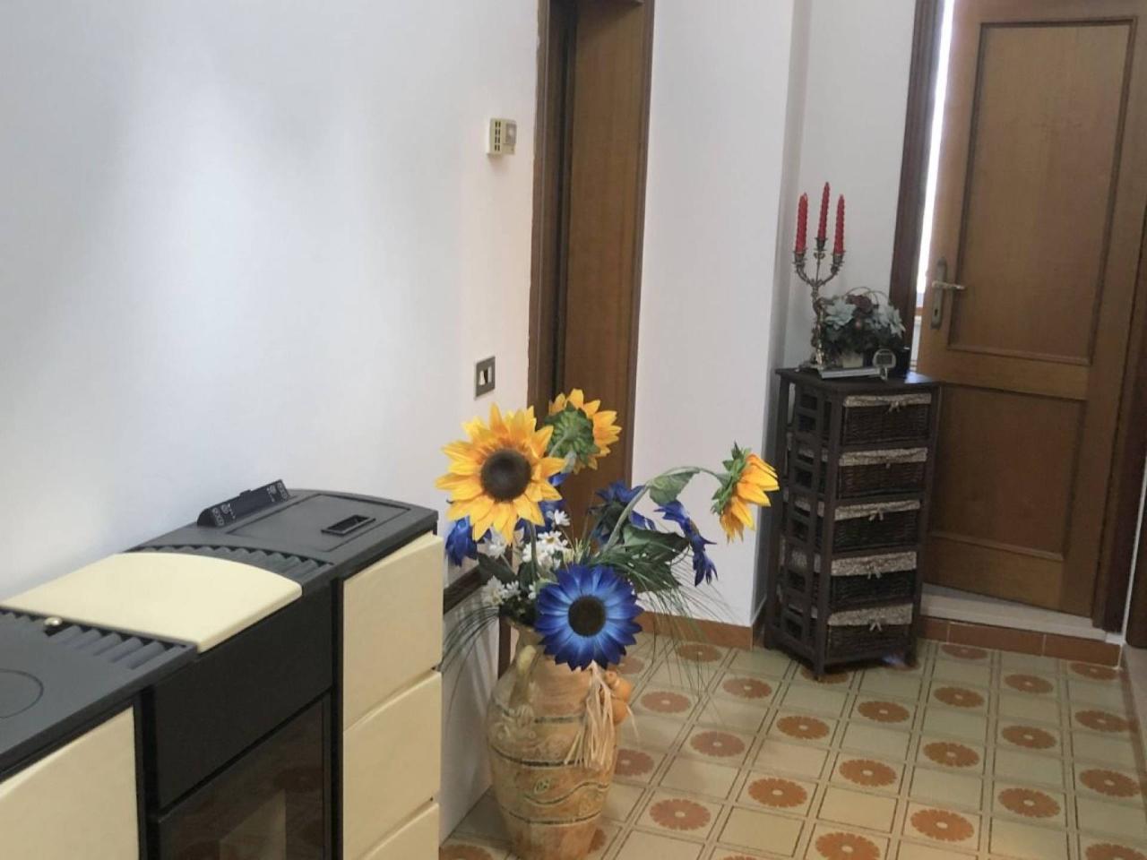 immagine annuncio 5 di 11