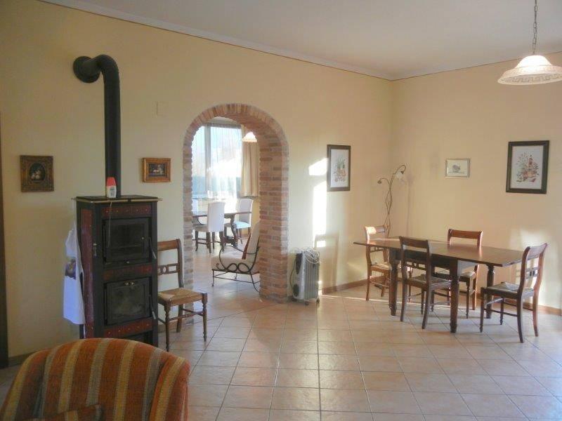 immagine annuncio 5 di 14