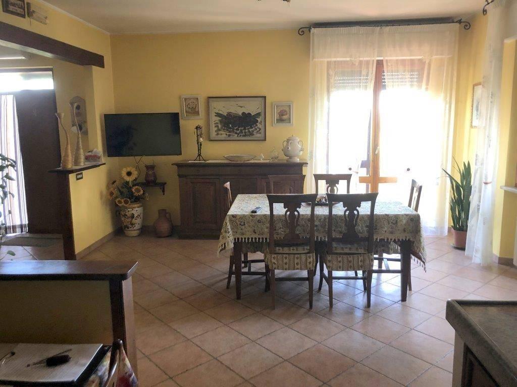 immagine annuncio 6 di 14