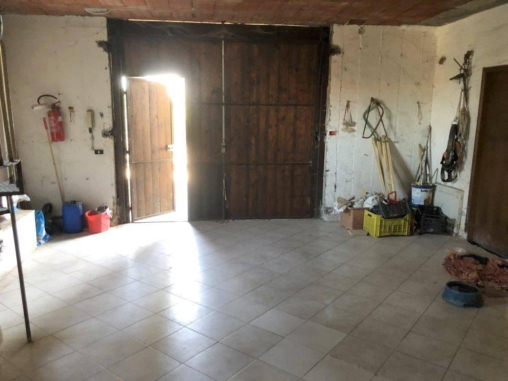 immagine annuncio 10 di 14