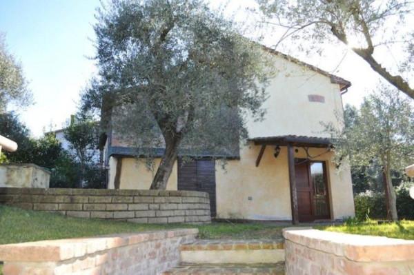 immagine annuncio 5 di 6