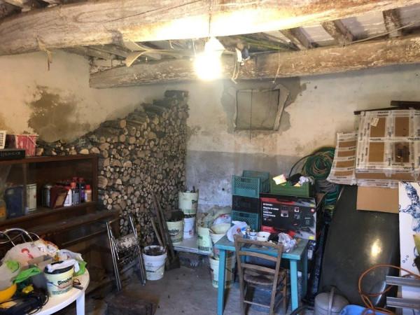 immagine annuncio 3 di 7