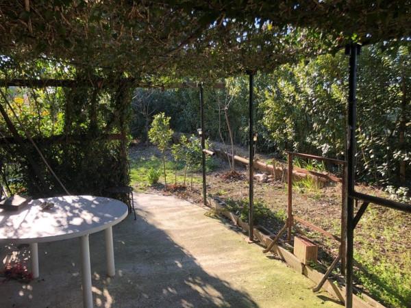 immagine annuncio 2 di 7