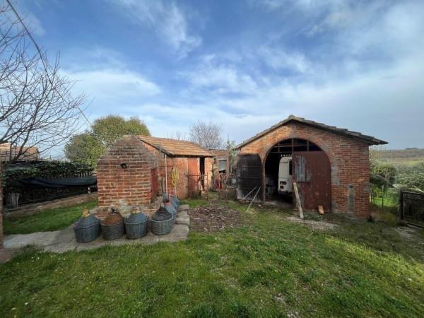 immagine annuncio 2 di 12