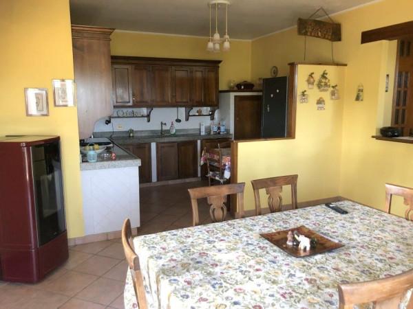 immagine annuncio 4 di 14