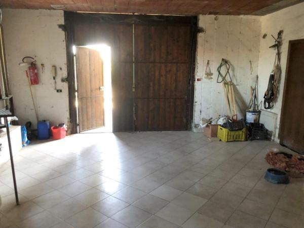 immagine annuncio 10 di 14