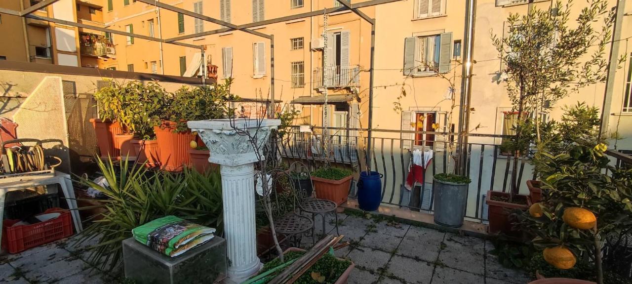 immagine annuncio 4 di 14