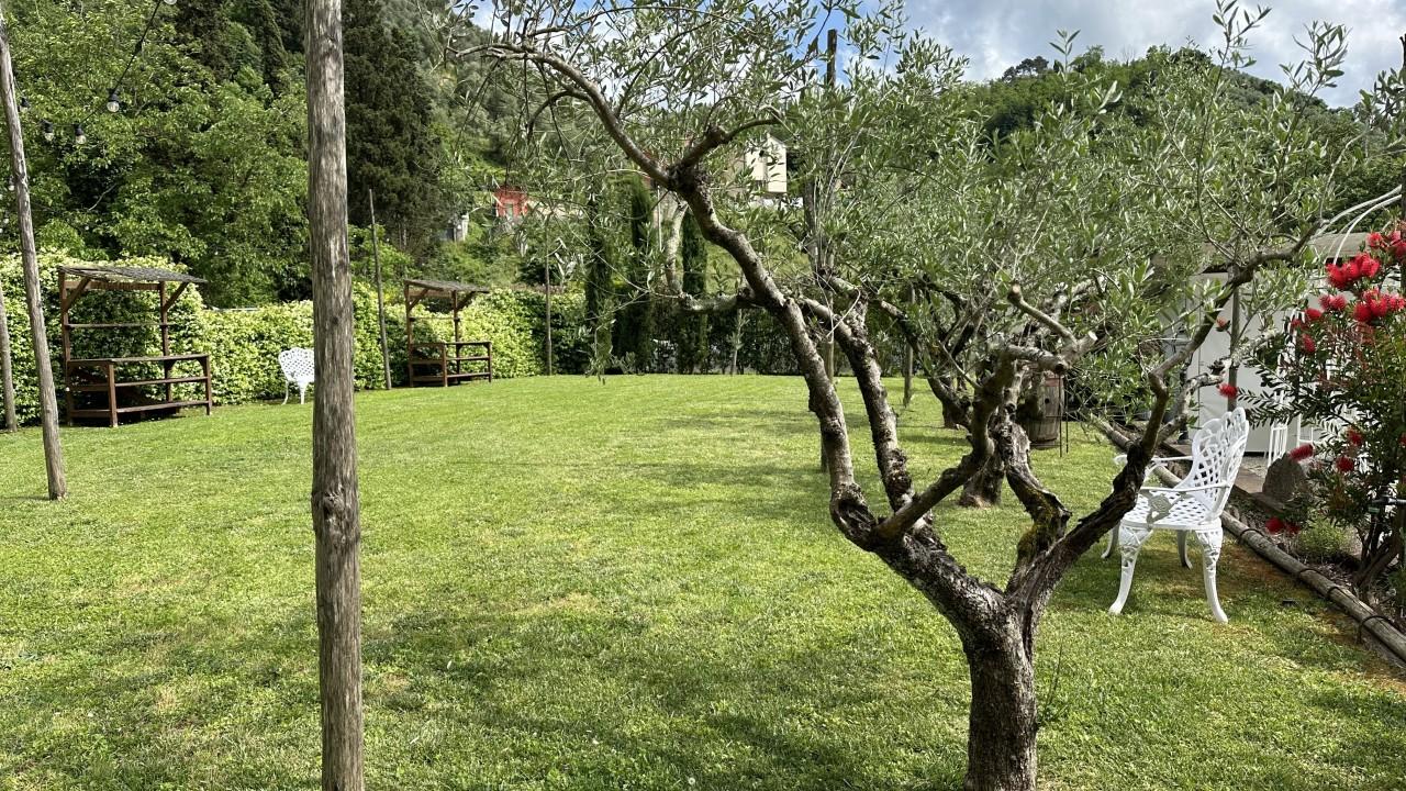 immagine annuncio 4 di 7