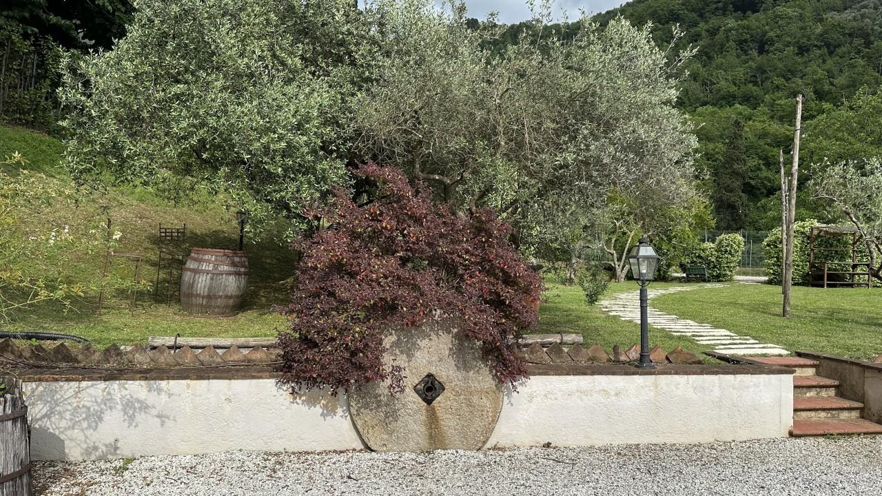 immagine annuncio 2 di 7