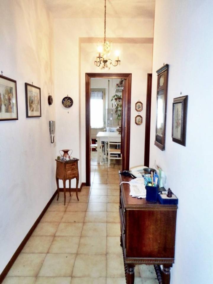 immagine annuncio 5 di 13
