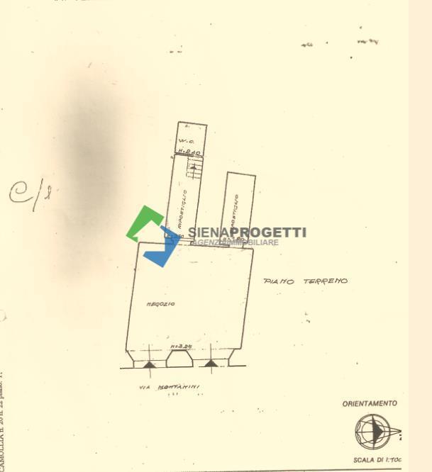 Negozio in Via Camollia, Siena, {3} - Planimetria 1