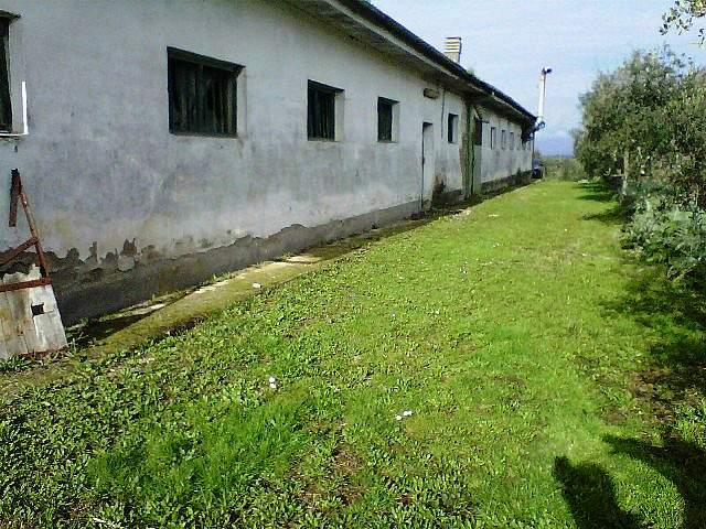 Residential building land, Santa Maria a Monte - Photo 1