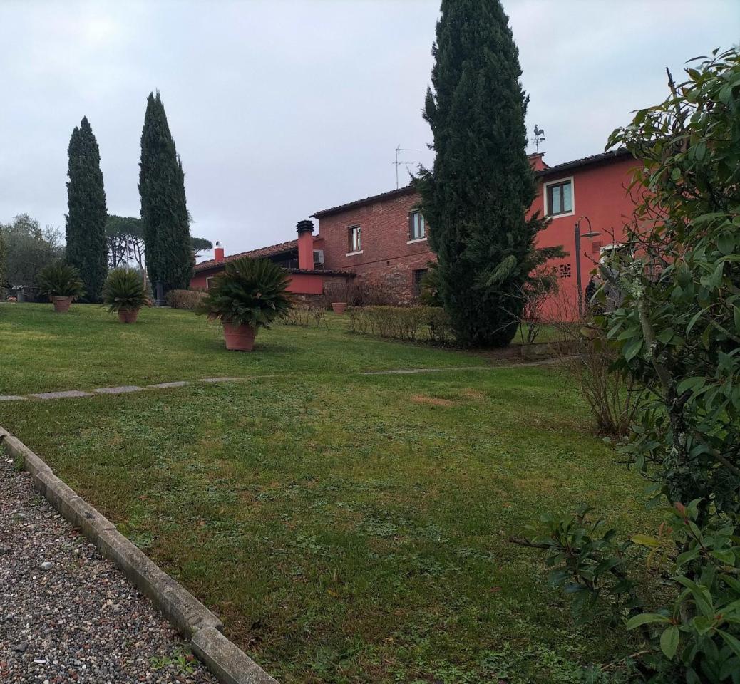 Azienda agricola in , Montecarlo, {3} - Foto 2