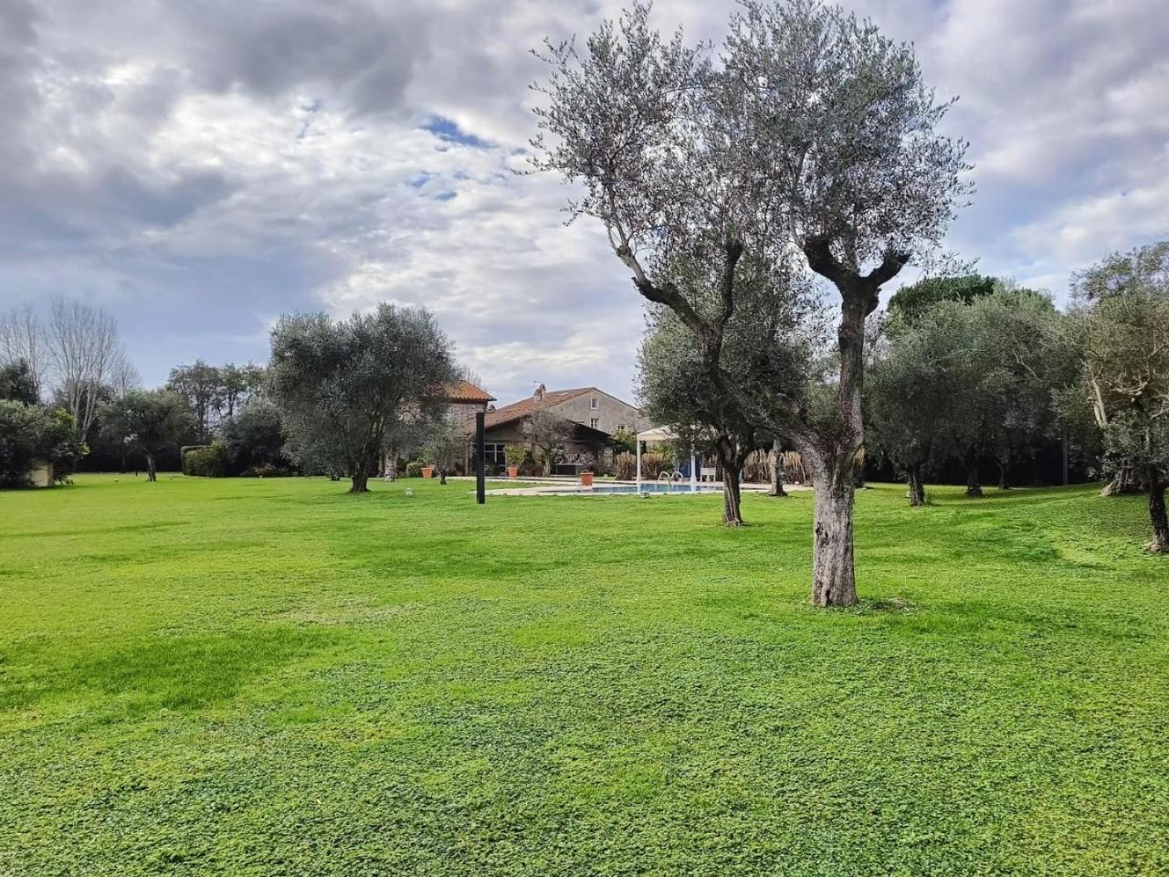 immagine annuncio 7 di 13