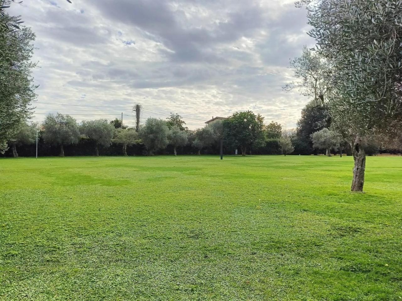 immagine annuncio 10 di 13