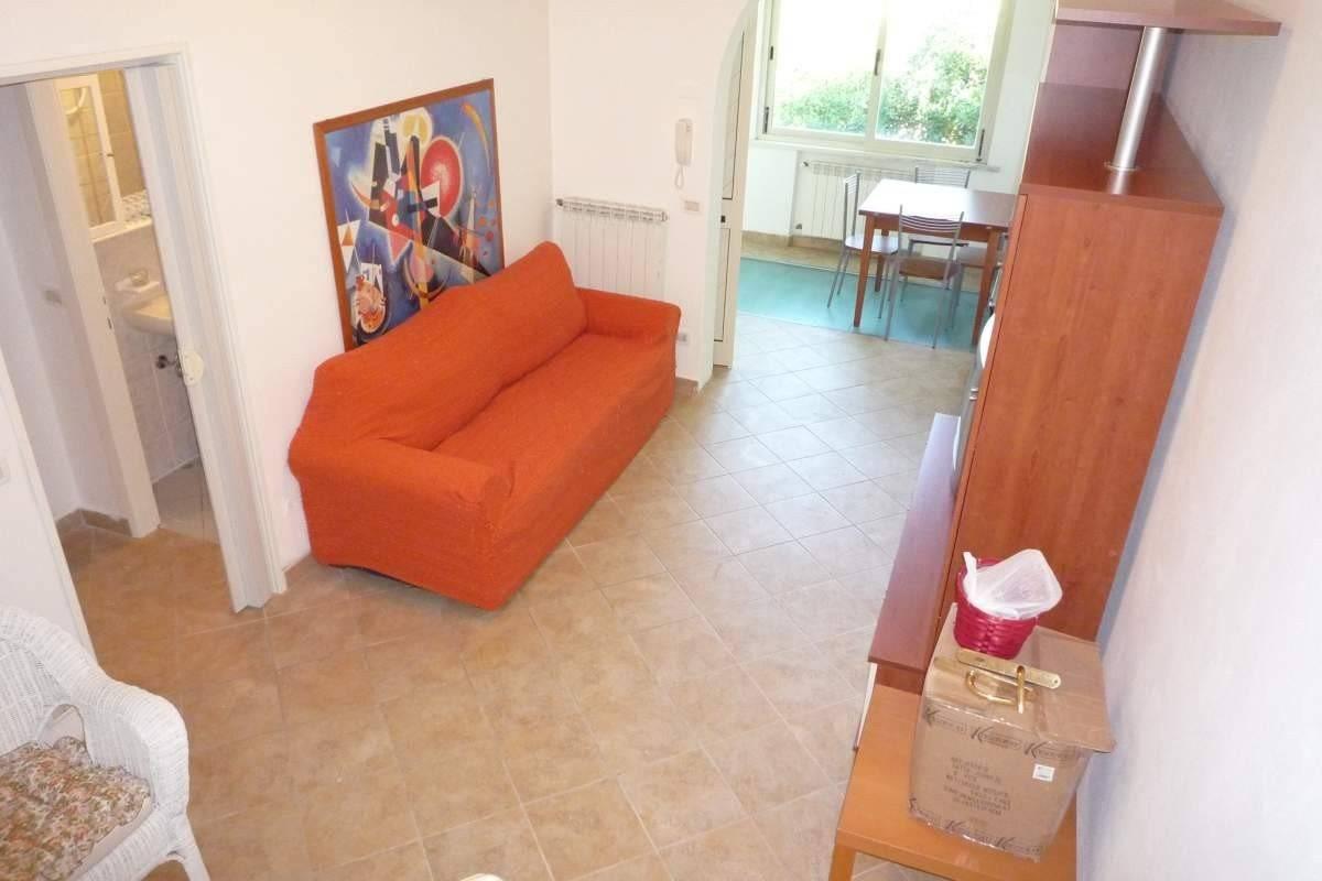 immagine annuncio 3 di 14