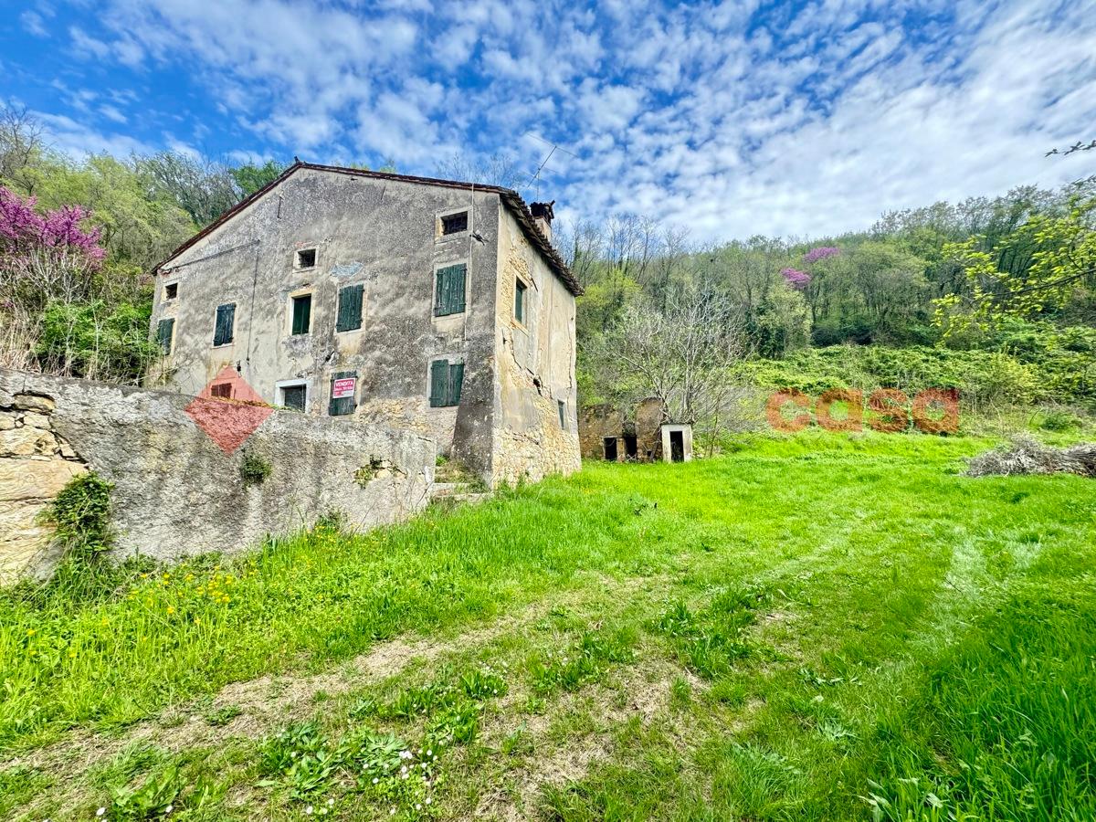 immagine annuncio 9 di 12