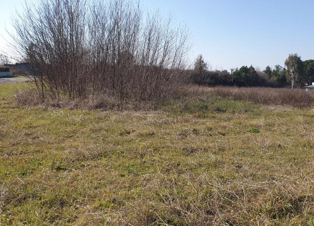 Residential building land, Lamporecchio - Photo 1