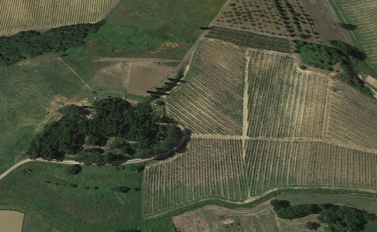 Terreno agricolo in vendita a Cerreto Guidi