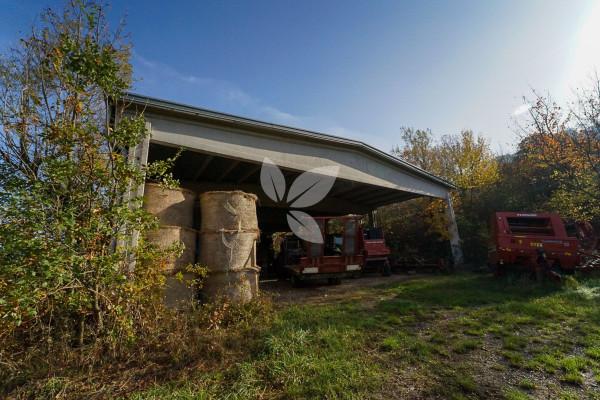 immagine annuncio 4 di 14