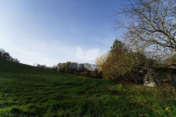 immagine annuncio 5 di 14