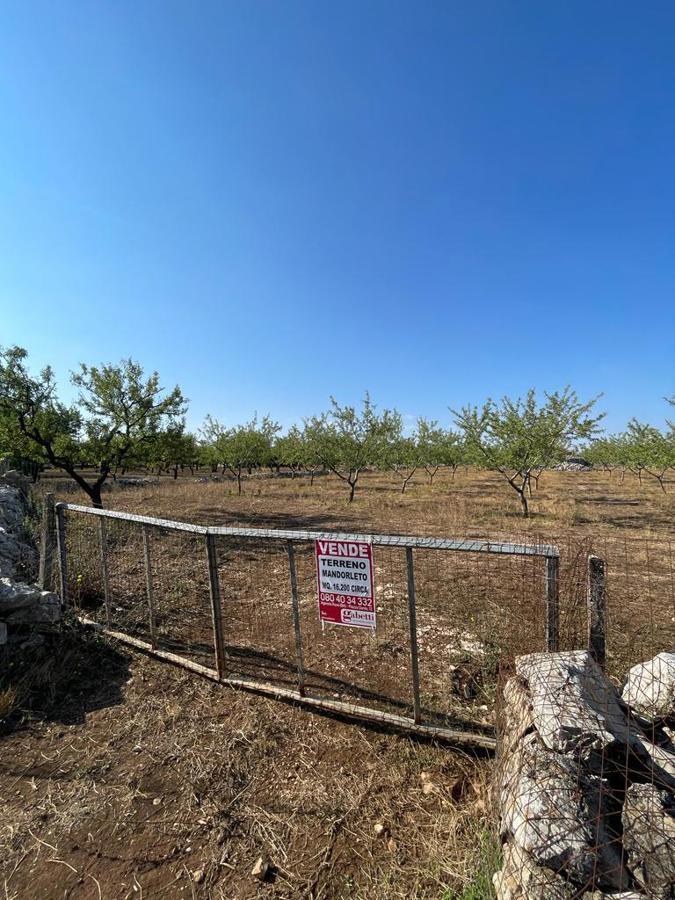 Terreno agricolo in vendita a Ruvo Di Puglia