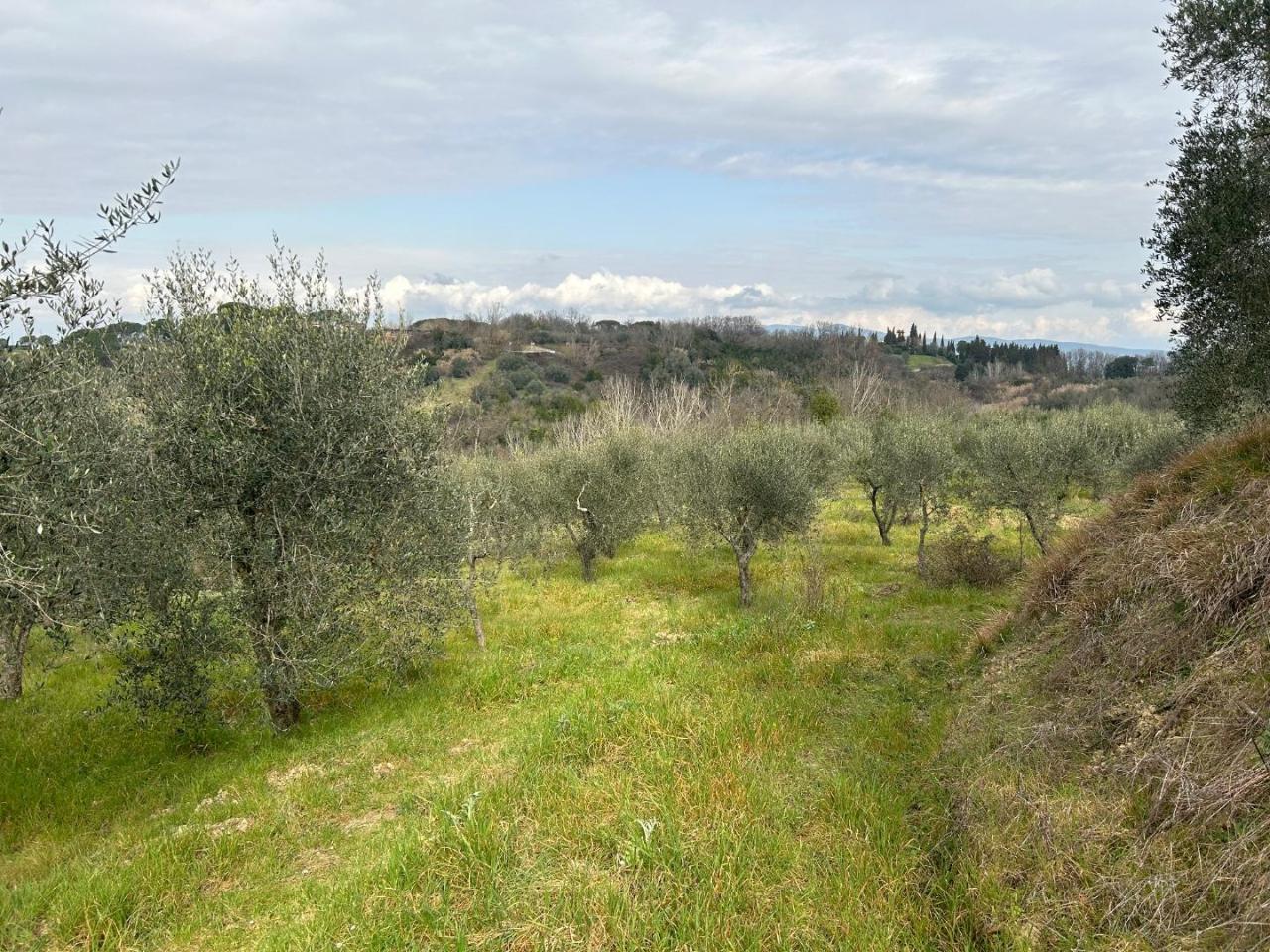 Terreno agricolo in vendita a Empoli