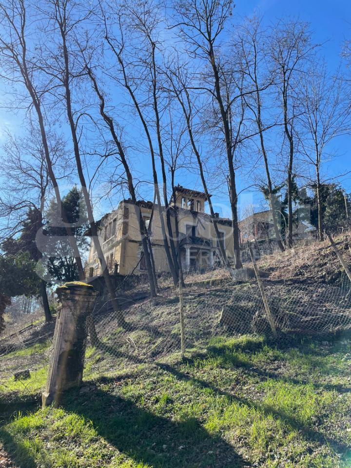 immagine annuncio 5 di 8