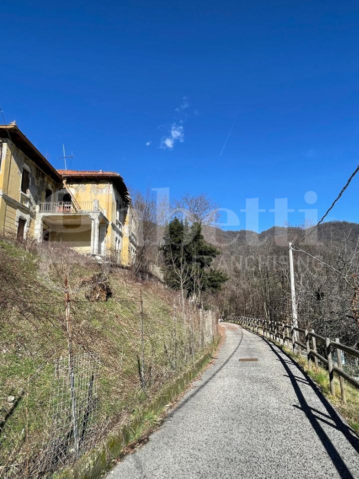 immagine annuncio 6 di 8