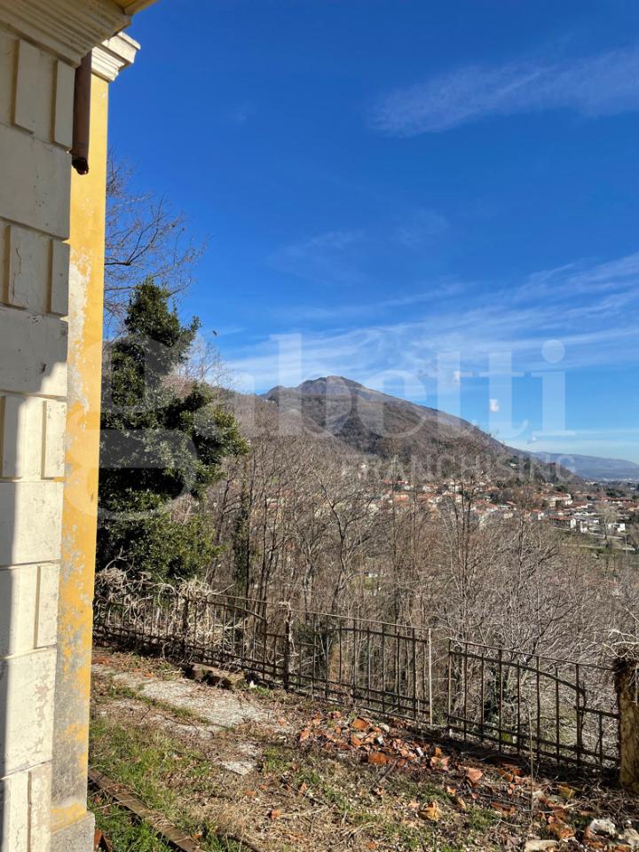 immagine annuncio 7 di 8