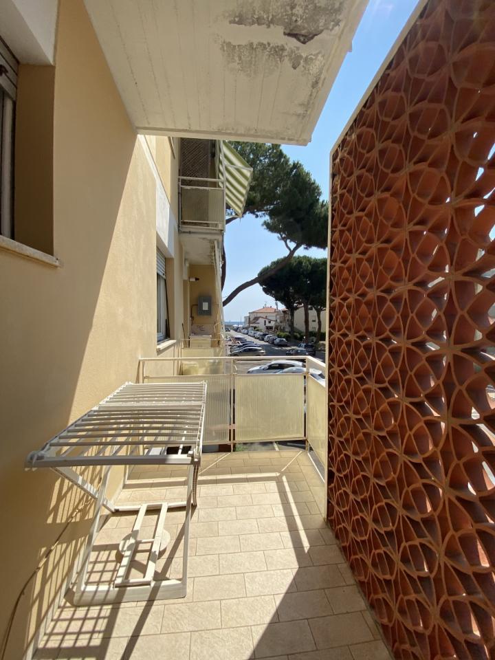 immagine annuncio 10 di 12