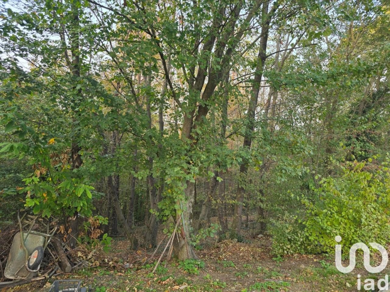 immagine annuncio 3 di 14