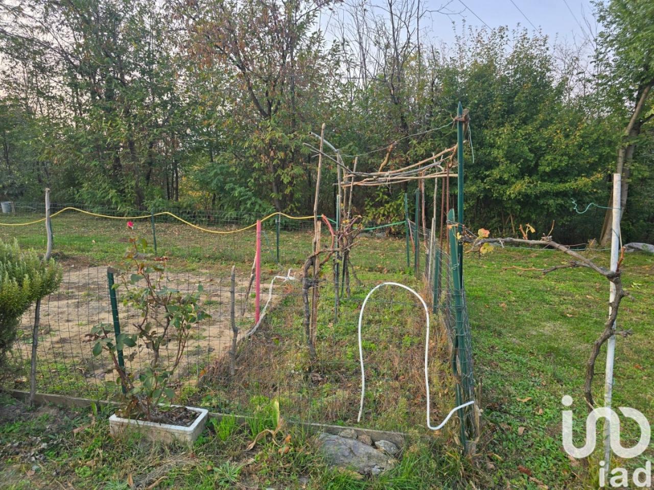 immagine annuncio 9 di 14