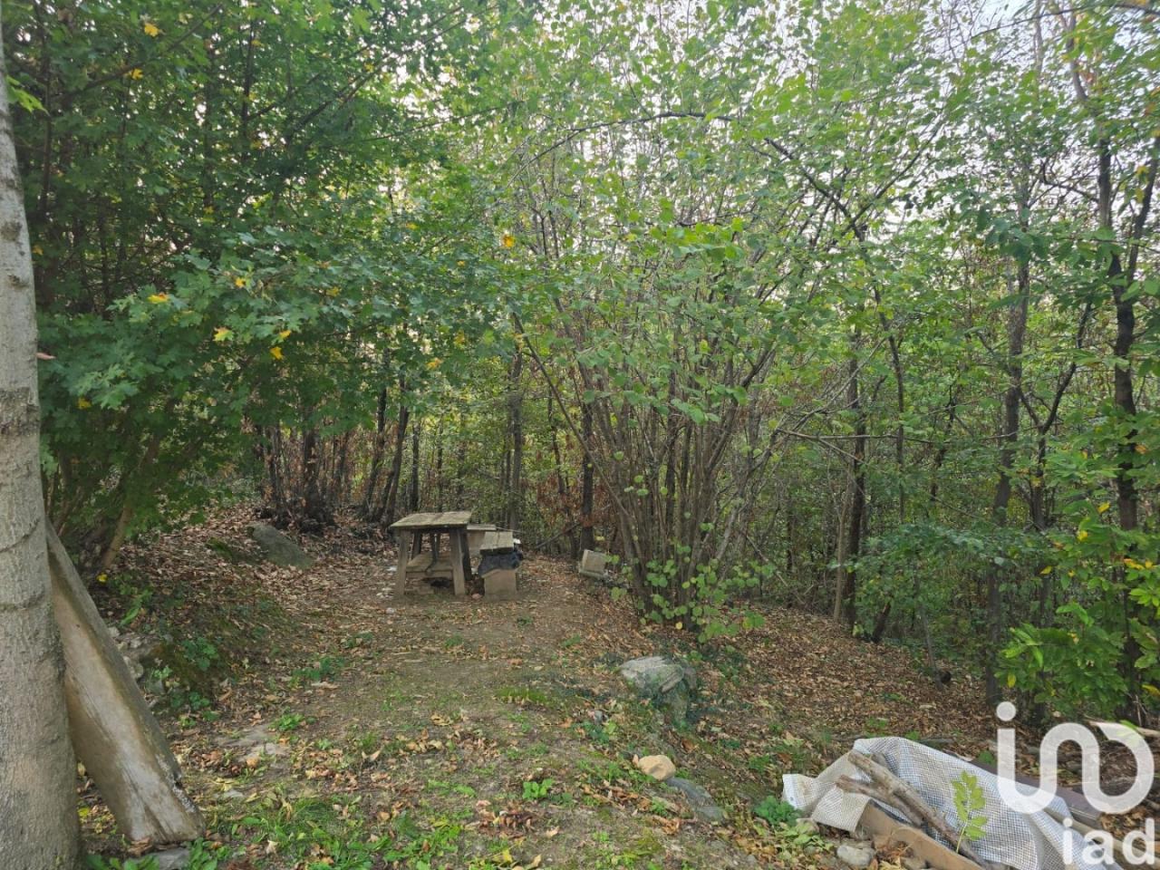 immagine annuncio 5 di 14