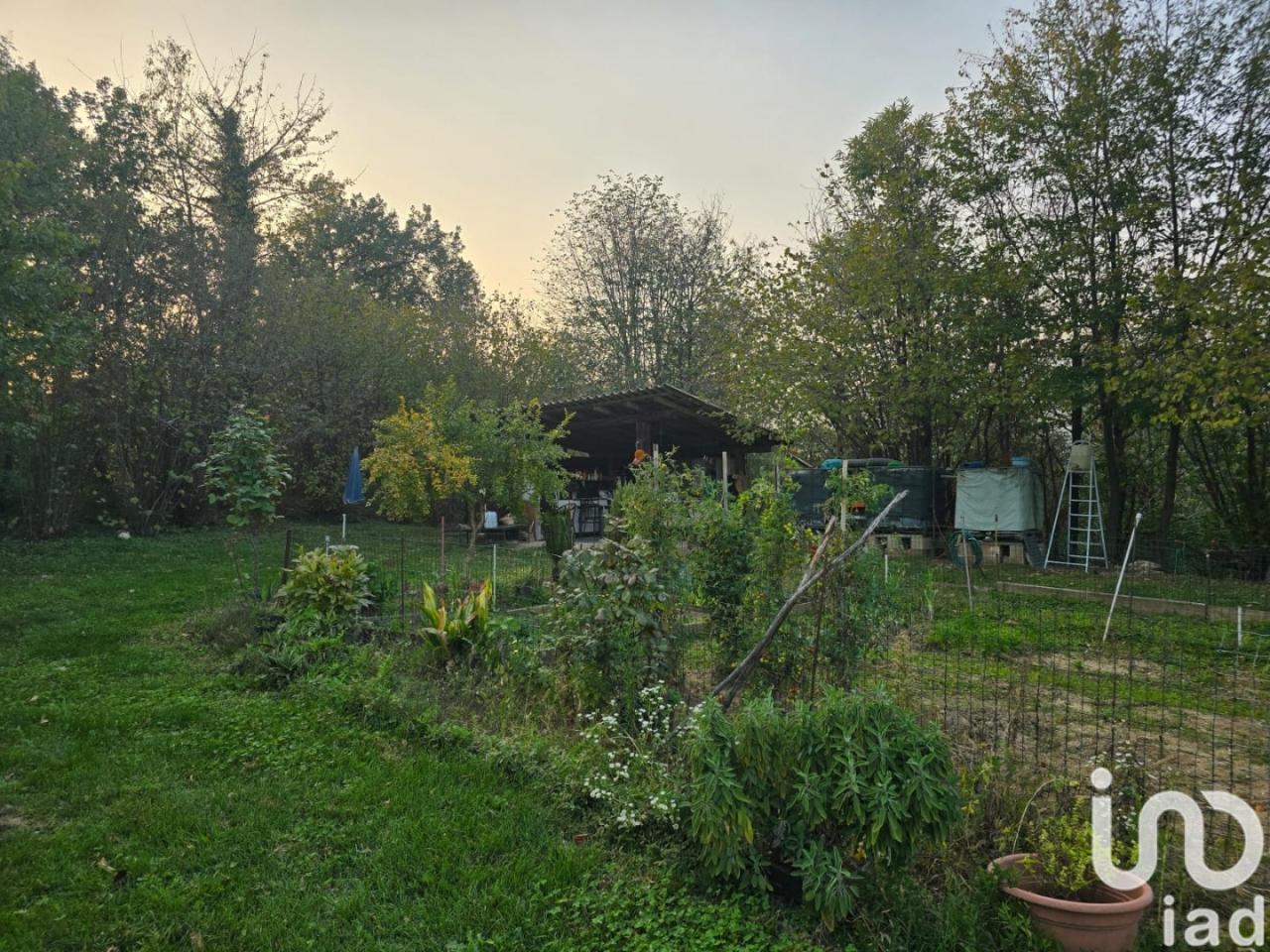 immagine annuncio 12 di 14