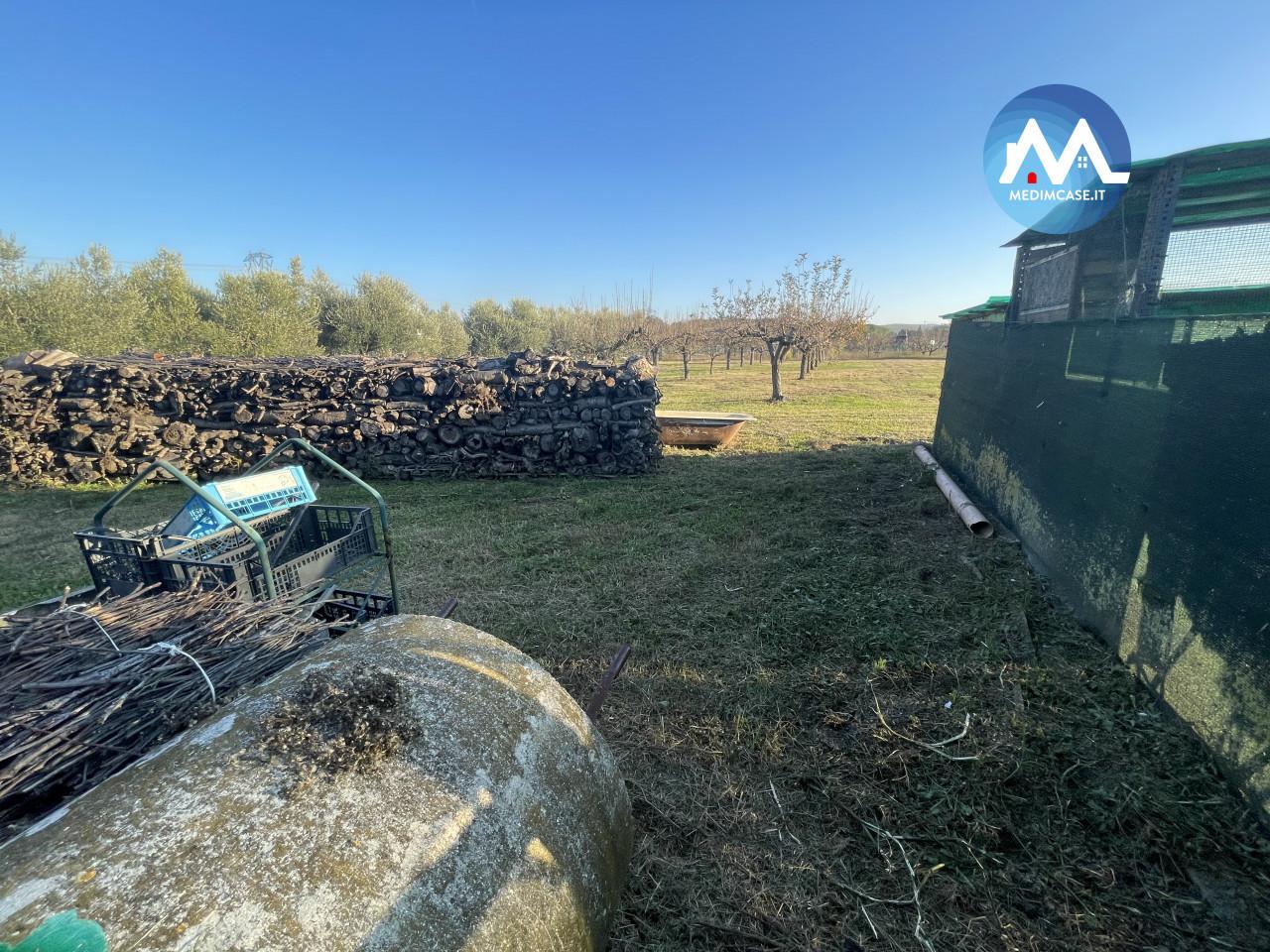 immagine annuncio 5 di 10