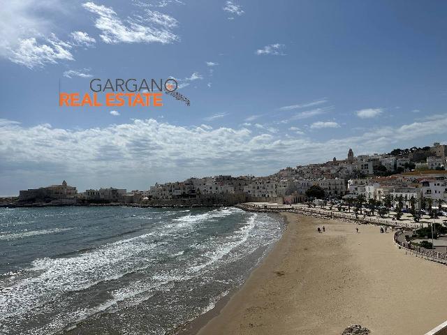 3-room flat in Lungomare Cristoforo Colombo, Vieste - Photo 1