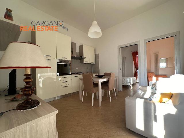 3-room flat in Via Napoli, Vieste - Photo 1