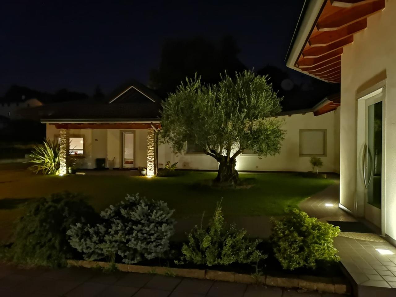 immagine annuncio 4 di 14