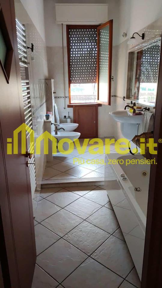 immagine annuncio 5 di 12