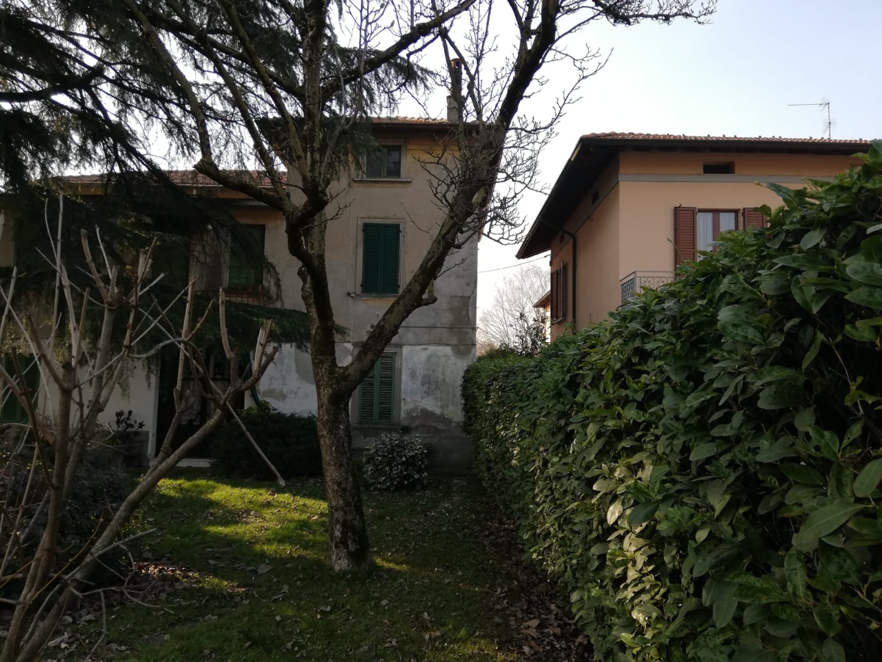 immagine annuncio 3 di 6