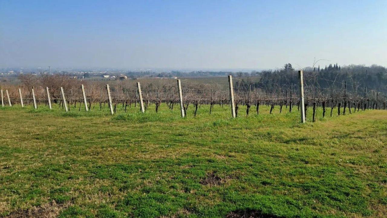 immagine annuncio 1 di 6