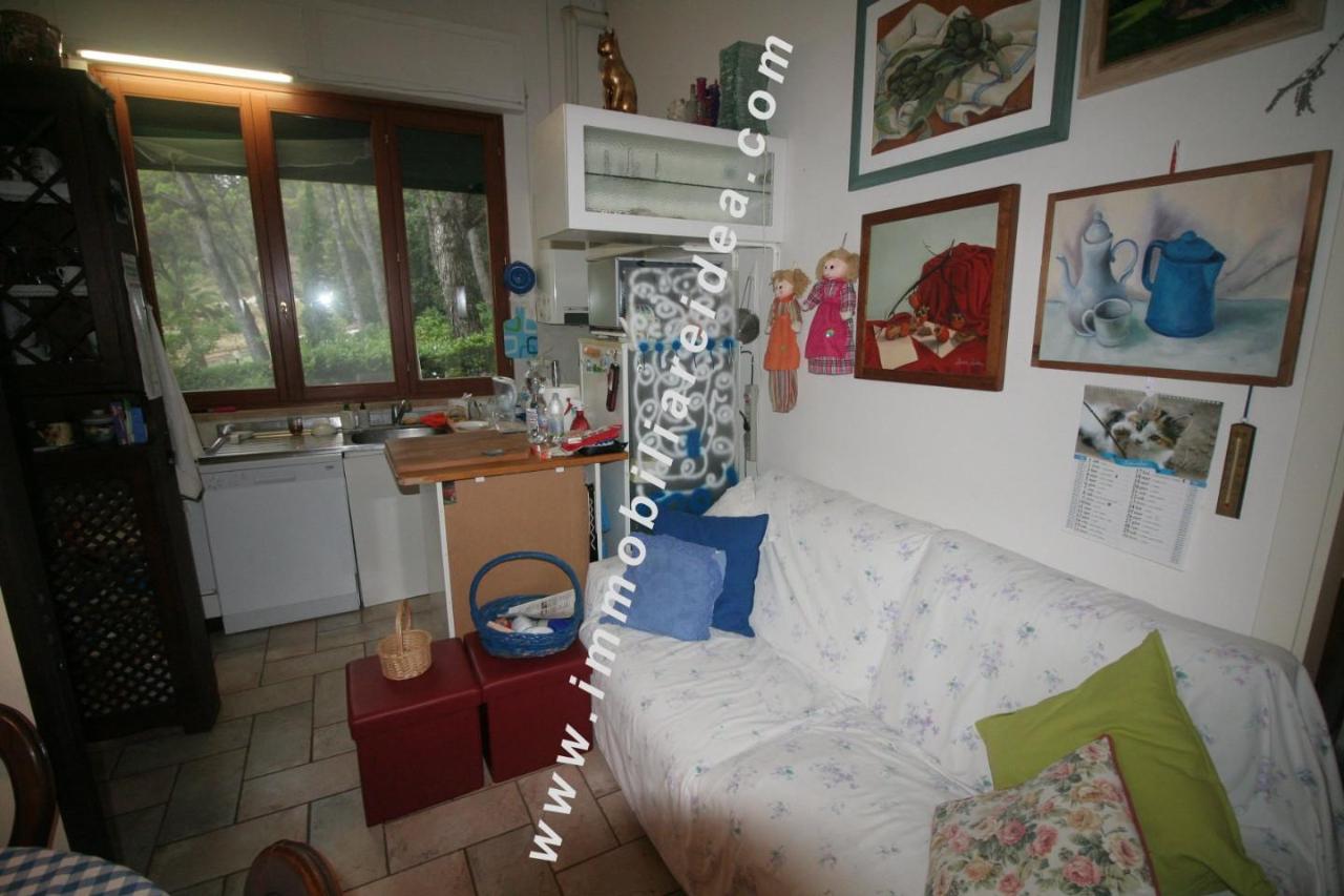 immagine annuncio 3 di 11
