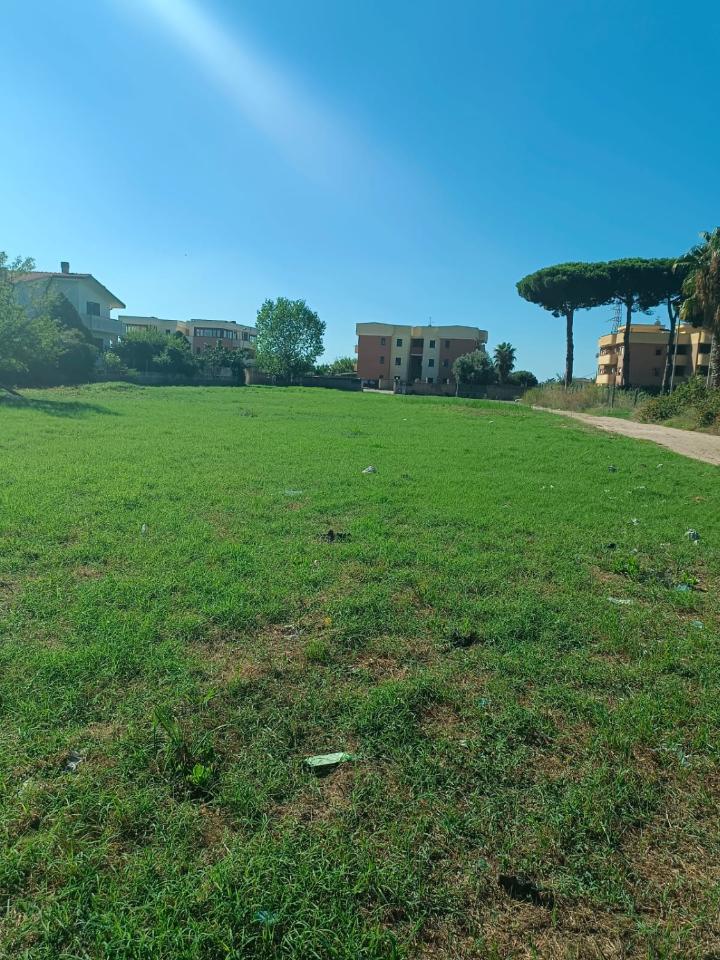 immagine annuncio 5 di 9