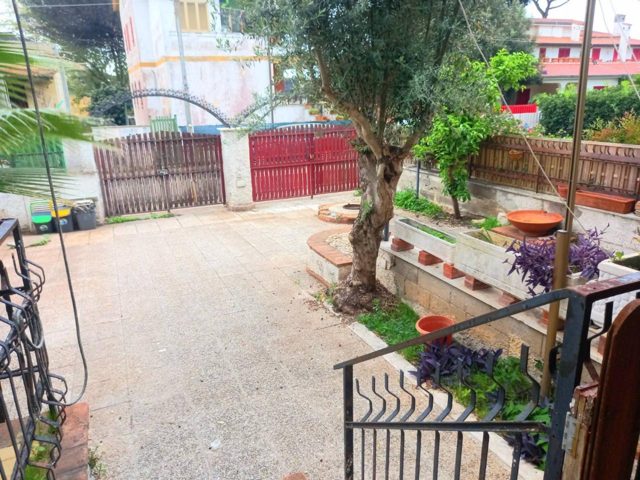 immagine annuncio 1 di 14