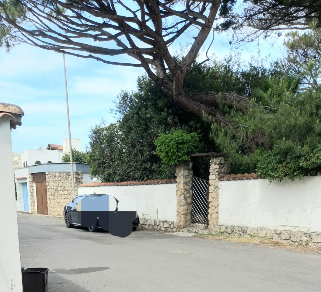 immagine annuncio 2 di 6