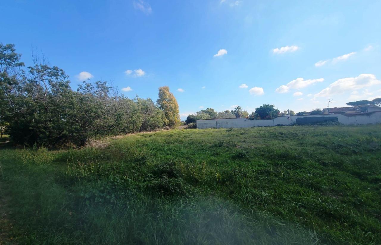 immagine annuncio 2 di 9