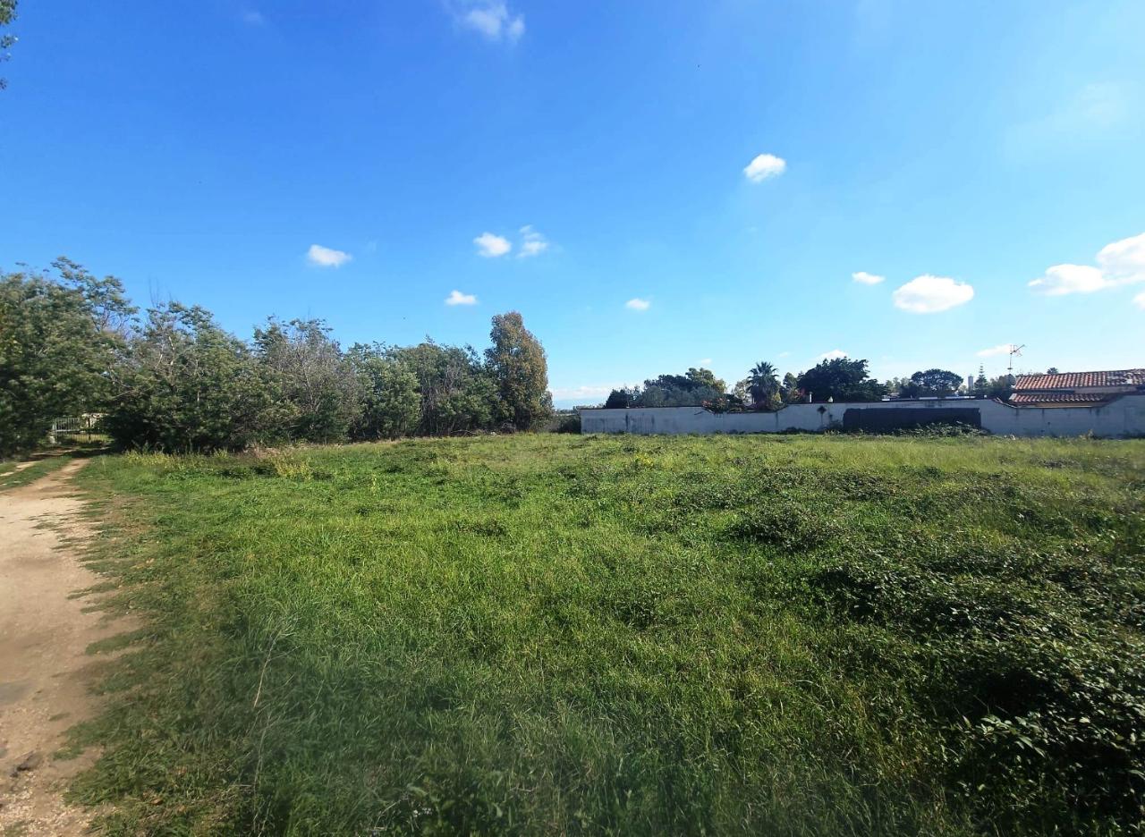 immagine annuncio 5 di 9