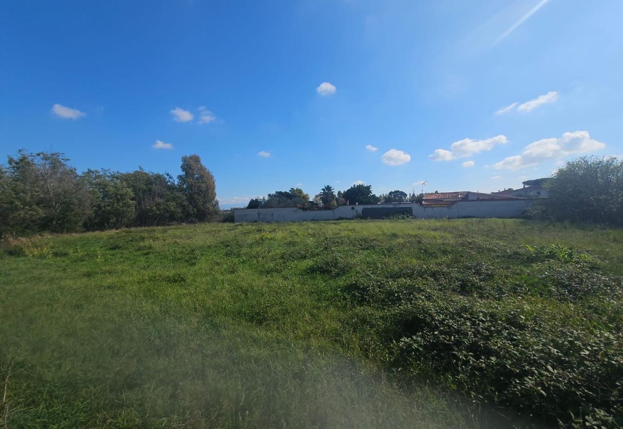 immagine annuncio 6 di 9